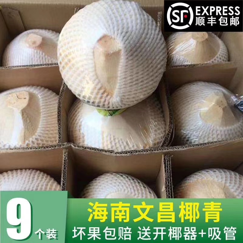  海南文昌椰青