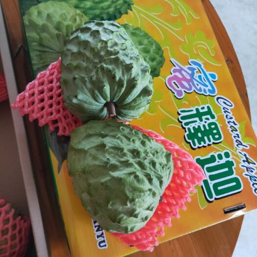 恩平市凤梨释迦果 货源充足