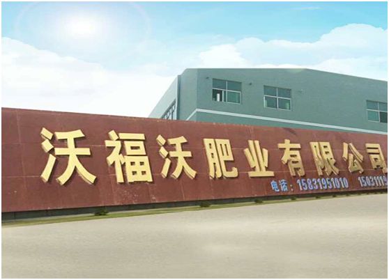 复合肥   果树专用肥