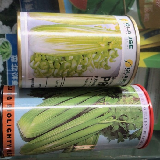 青州市 芹菜种子
