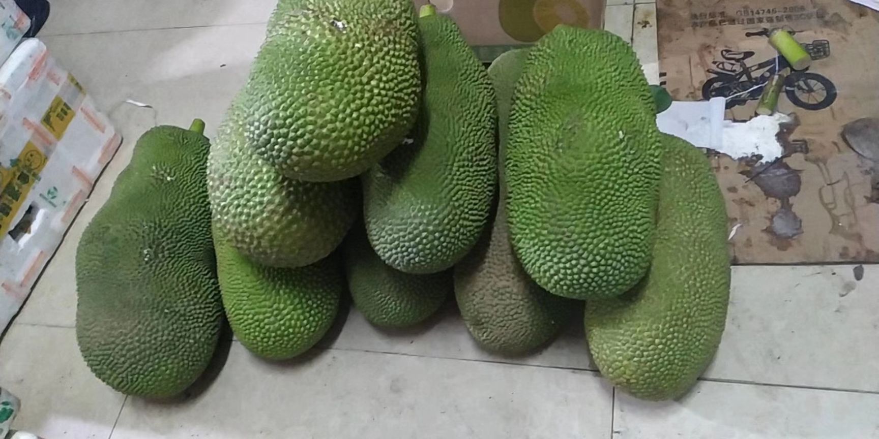  海南树菠萝黄肉菠萝蜜马来1号一件代发包邮