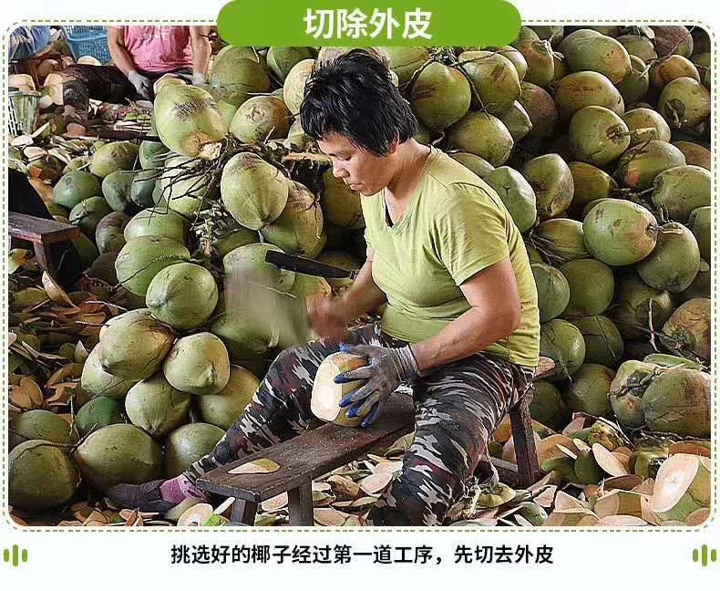  海南文昌椰青