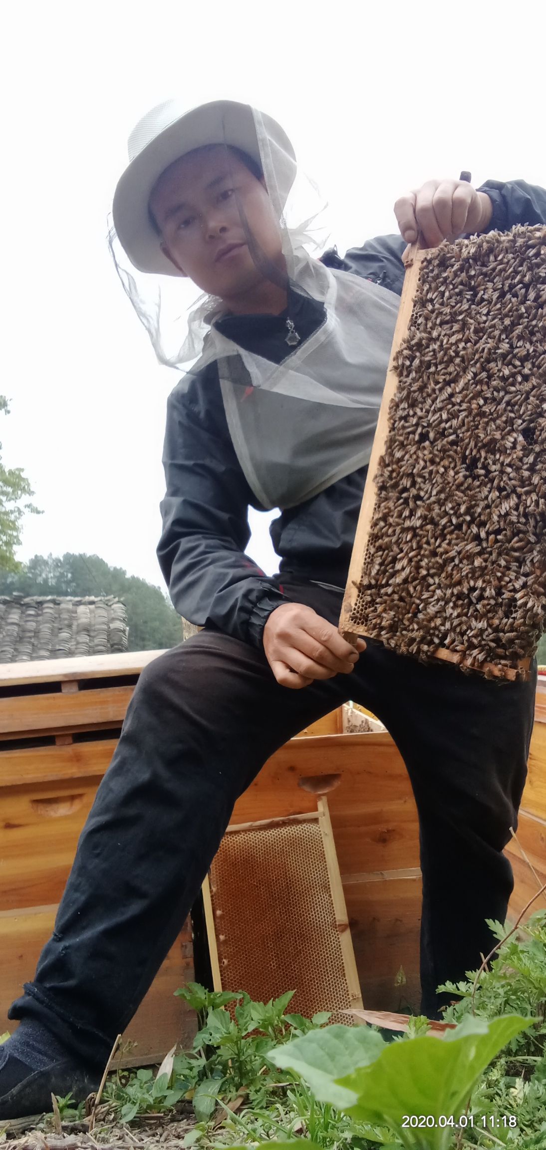 紫云英蜜 自产自销蜂产品
