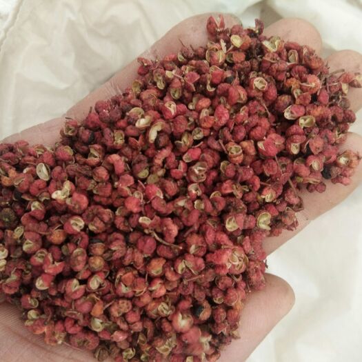 富平县大红袍花椒 特级 干花椒