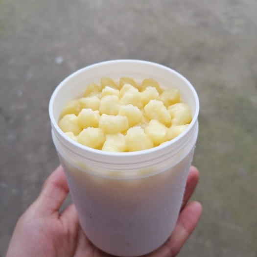 枞阳县 蜂王浆天然500g