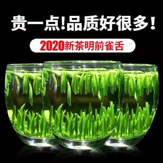 蒲江县 2020新茶蒲江雀舌绿茶嫩芽茶叶毛尖春茶明前浓香散装