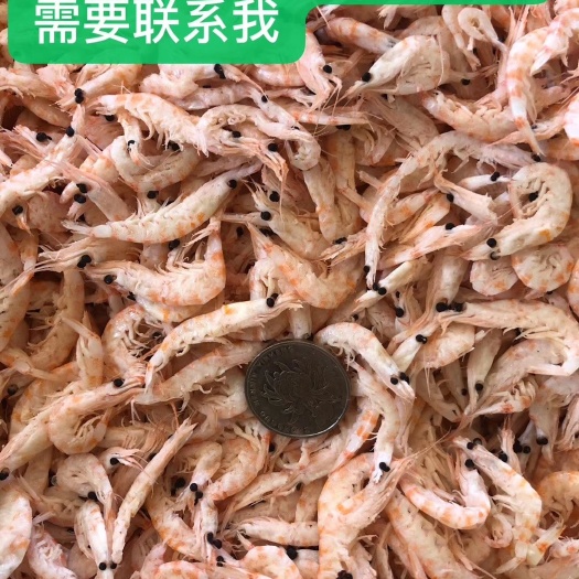 东港市磷虾干  麟虾干