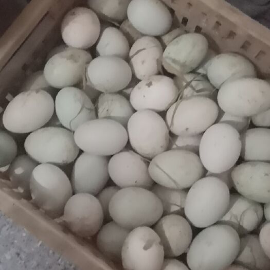 临湘市 批发新鲜鸭蛋