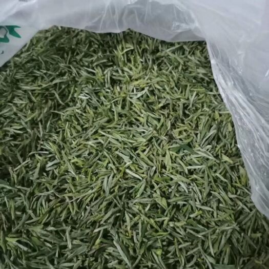 岳西县高山绿茶 正宗高山茶！自己采摘自己加工！