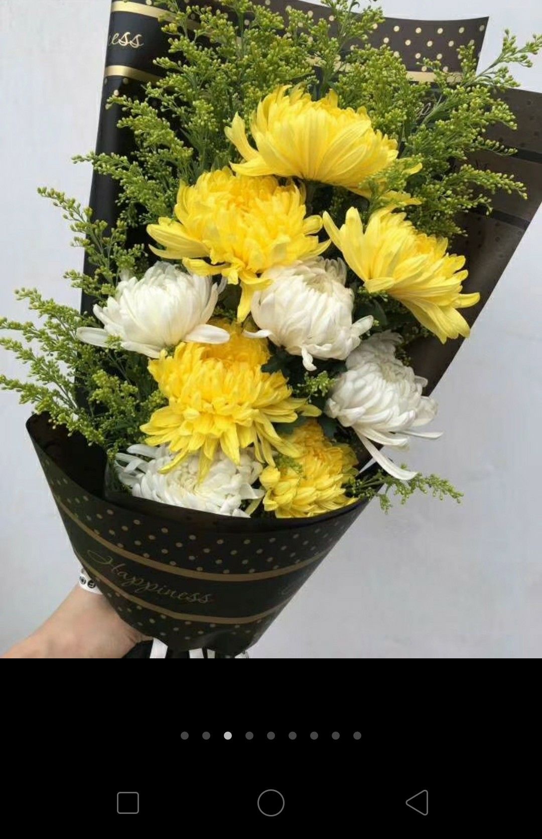 菊花切花  云南鲜花批发昆明斗南基地鲜花批发黄菊白菊