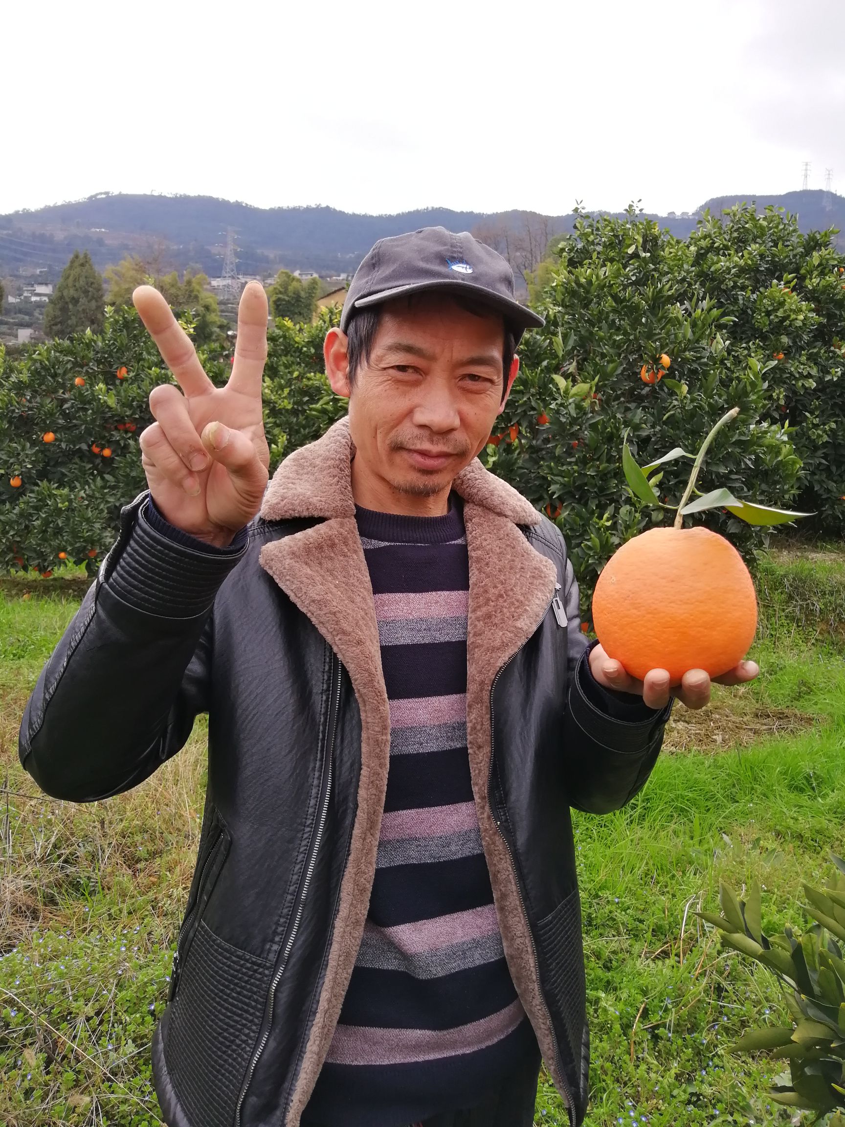  远方朋友奉节脐橙等你品尝，千里之外给你送来，愿得你回眸一笑