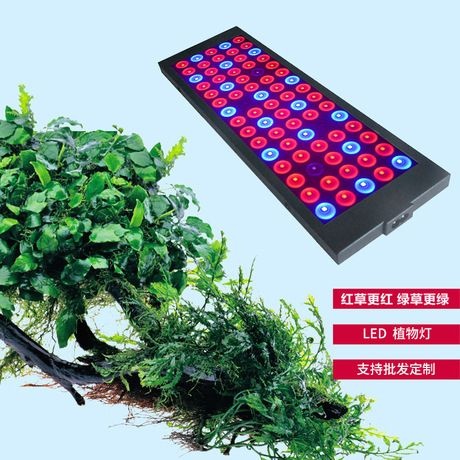 深圳植物补光灯 新款水族灯植物灯  LED植物大棚补光灯苗植物灯全光谱植物防