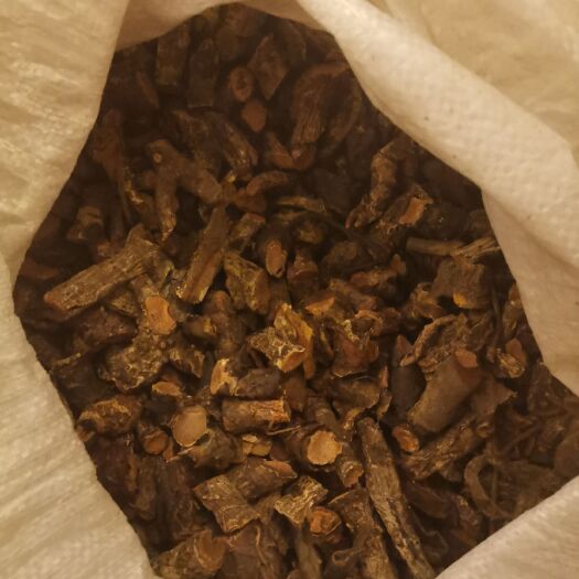 石屏县 岩白菜