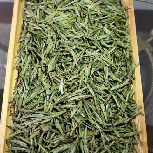 霍山县 霍山黄芽正式上市，有喜欢的吗？