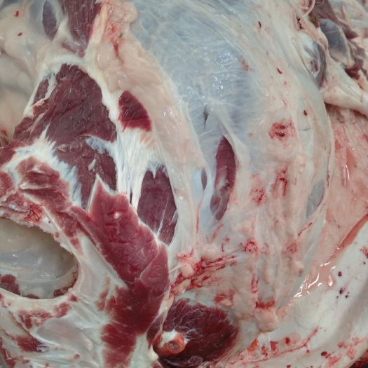 银川 宁夏回族自治区精品黄牛肉