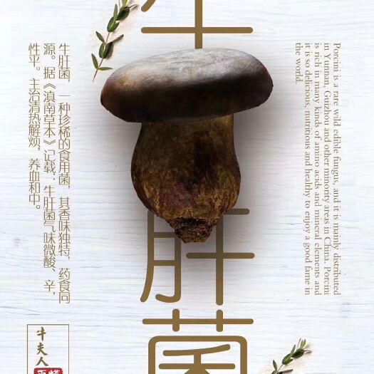 北京黑牛肝菌 厂家最后大促销！