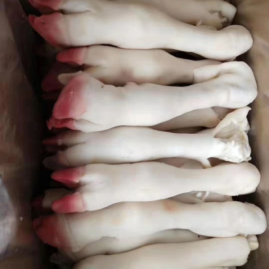 精品水褪羊蹄，无抽筋，大小均匀，质量有保证。