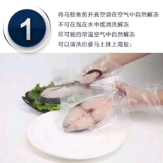 北海 马鲛鱼