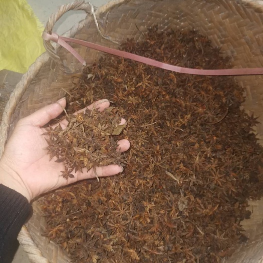 大新县 桂皮今天开始收有意向的老板可以提前