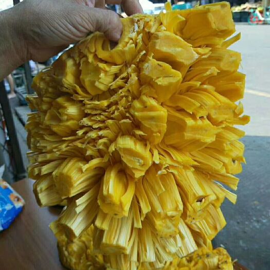 文昌市 菠萝蜜