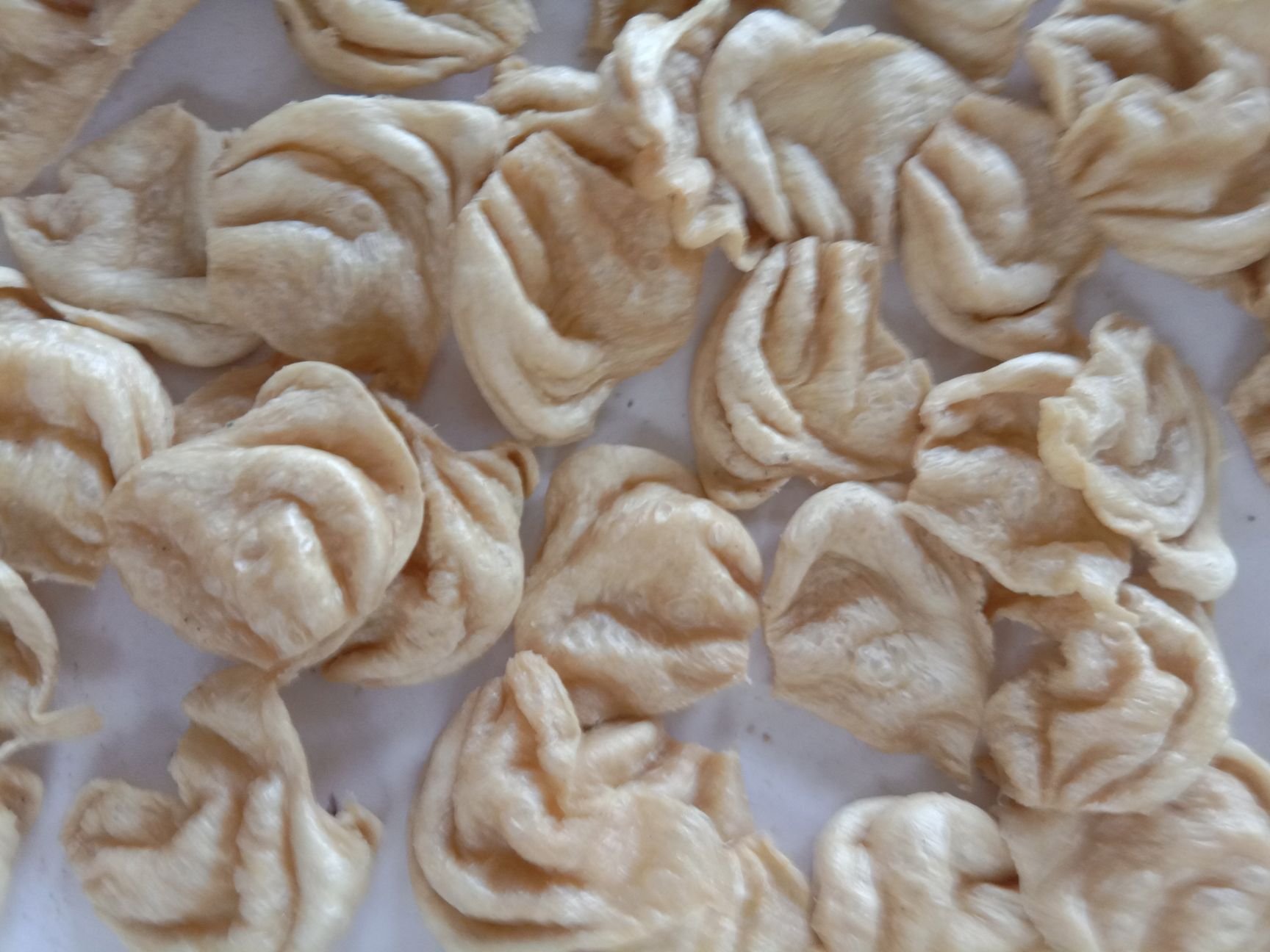 蛋白肉  豆制品大豆耳猫豆耳 健康美食赶大集热卖品