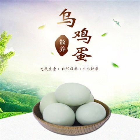 滕州市灵芝富硒绿壳乌鸡蛋新鲜乌鸡蛋