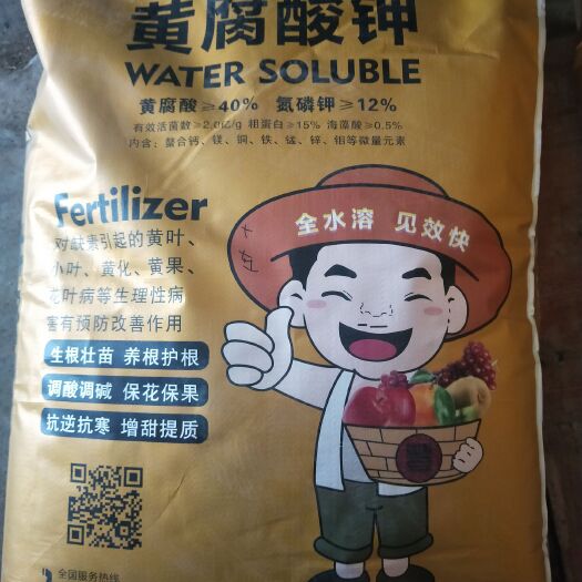 淄博 黄腐酸钾原粉，酵母工艺流程，生根膨果壮苗。