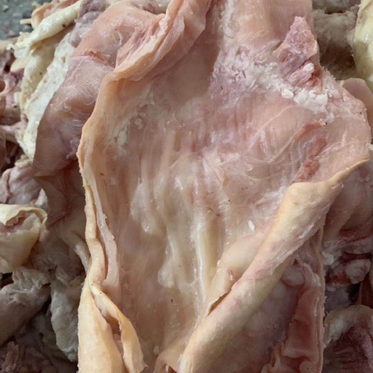 阳信县牛筋  全熟牛腩筋 精修去油牛腩筋 质量保证 量大价优