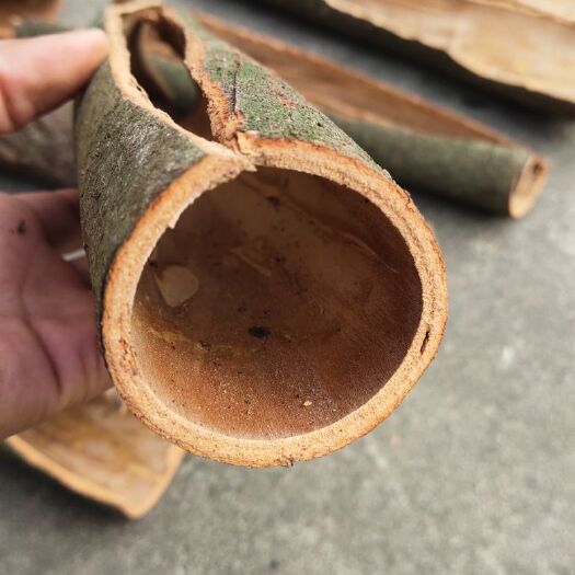 郁南县厚肉桂  桂皮/肉桂皮