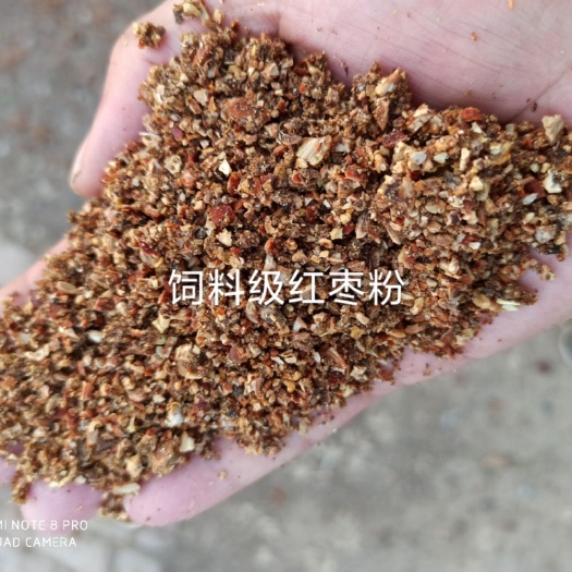 沧县饲料枣粉 畜禽用红枣粉，产地厂家直销，鸡鸭鹅猪牛羊马驴等使用