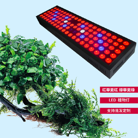 深圳植物补光灯 植物生长补光灯 育苗开花水培300w定时1000w植物灯