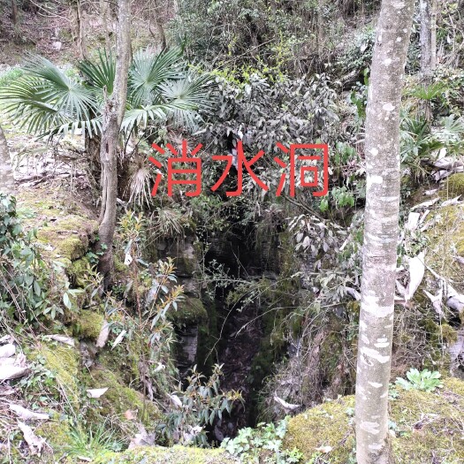 建始县镀锌带种植大棚 早地，我10亩土地寻找老板开发，适宜养殖做猪场欢迎老板来谈合