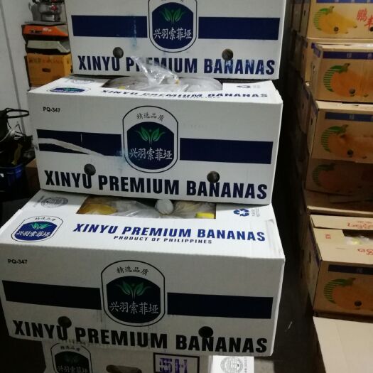 北京菲律宾香蕉 比质量，此价格，比服务