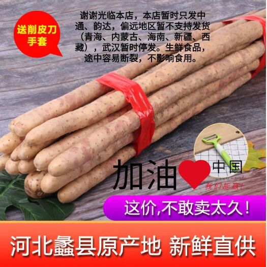 蠡县 山药正宗铁棍小白嘴山药铁杆小白嘴淮山药新鲜蔬菜河北特产