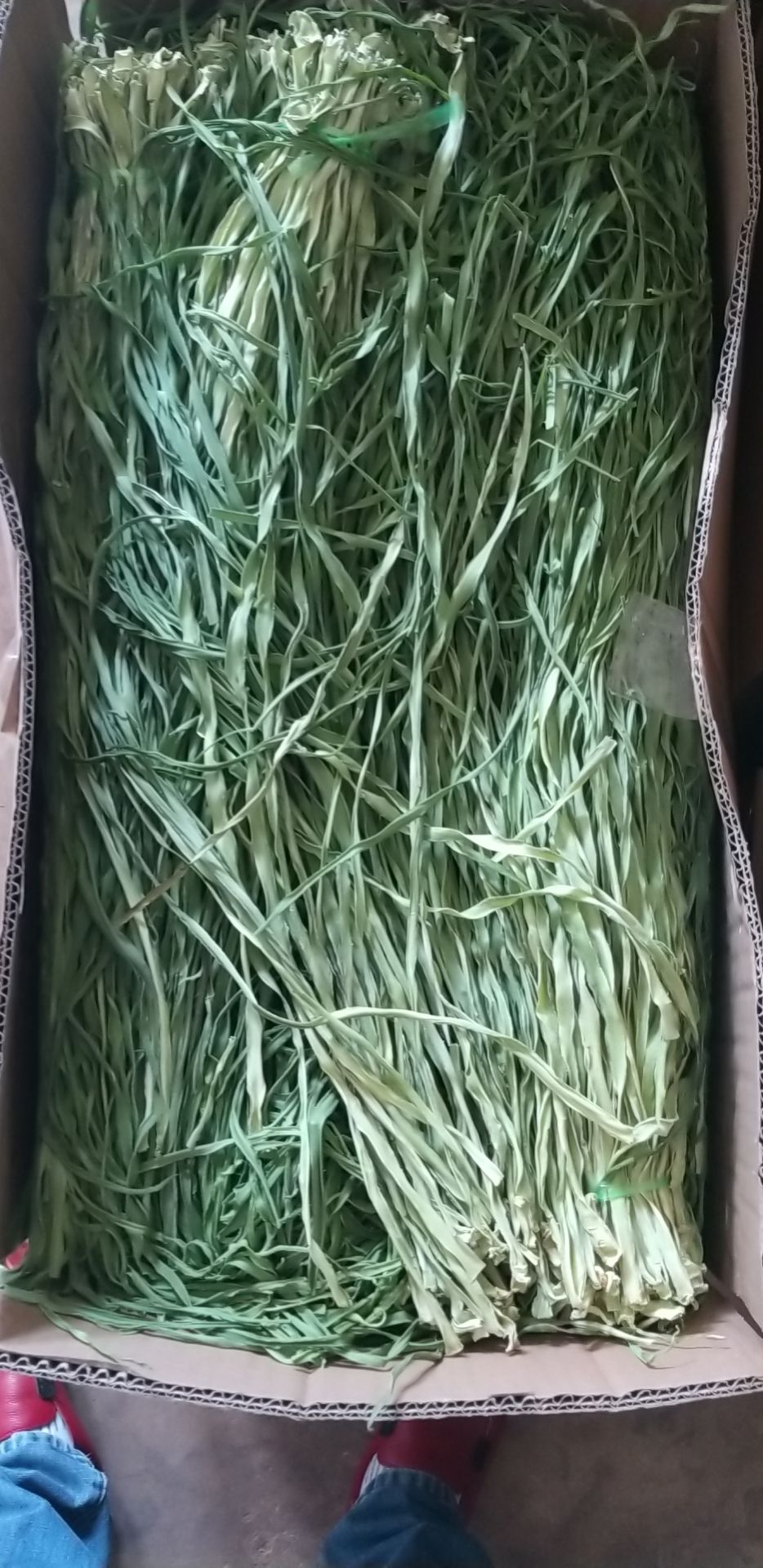 苔干  现货好二级菜