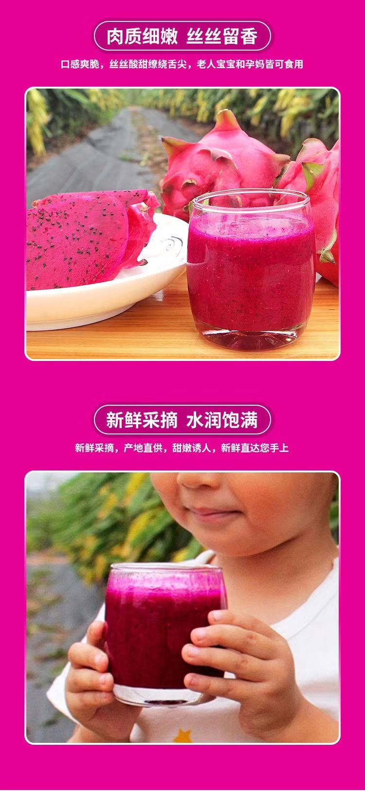  火龙果红心火龙果