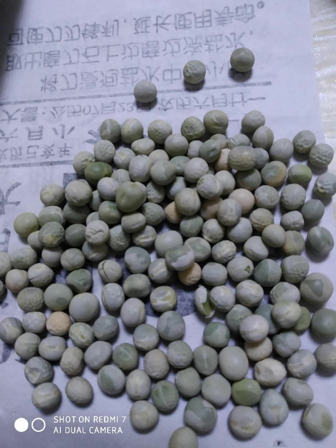 加拿大生綠豌豆，精加工食品級，綠豆餅原料