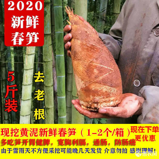 常寧市楠竹筍 自己家的山貨春筍如果需要從速