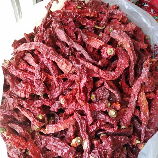 巴彦淖尔 羊角辣椒，中辣，适用于，凉皮，炒面，炒烩肉，炸辣油炖肉之精品
