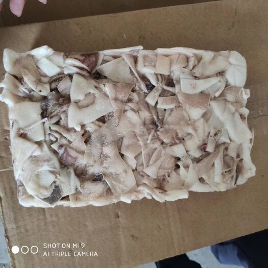 烟台 真鱿碎肉   小板1kg/2kg