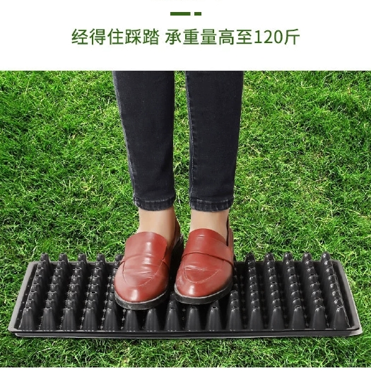 莘县穴盘/育苗盘 育苗盘 辣椒西瓜草莓黄瓜西红柿育苗穴盘厂家直销