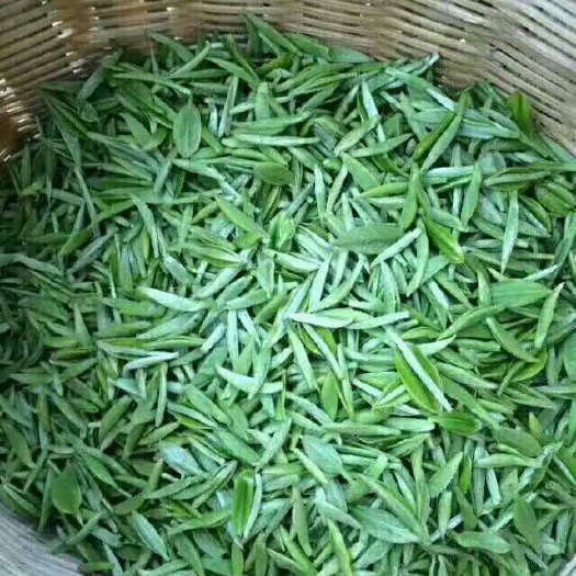 峨眉山市竹叶青茶 1-2年