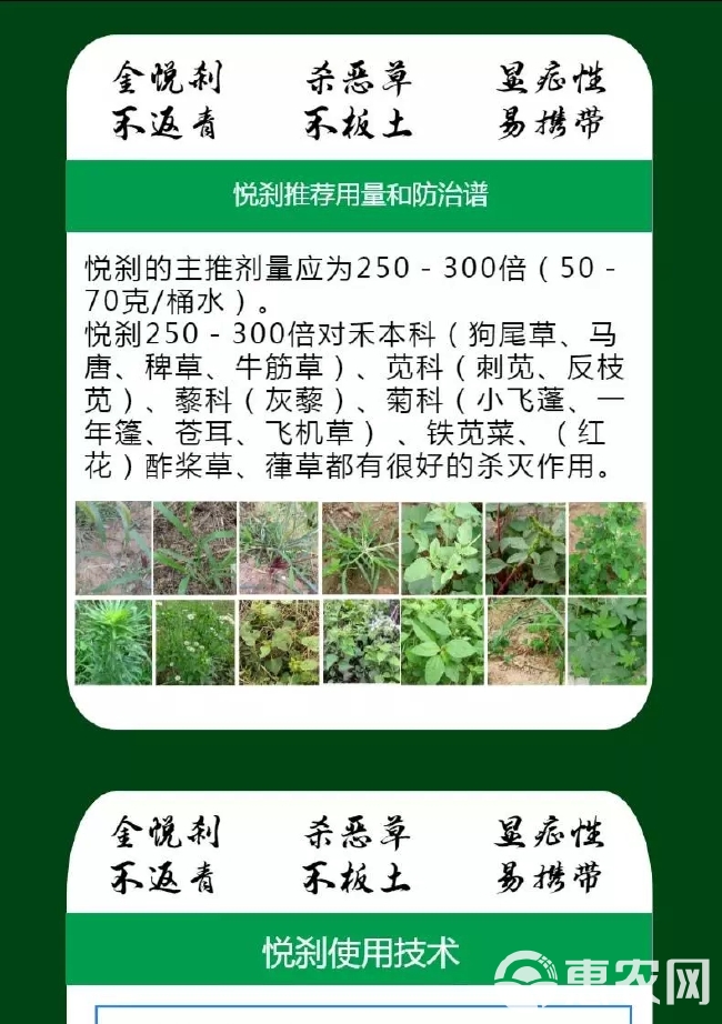 80%草铵膦草甘膦除草烂根一扫光杂草甘磷干瞵铵盐灭草剂除草剂