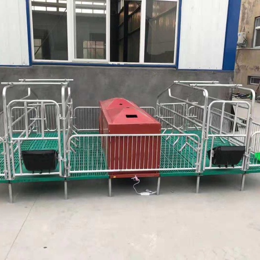 卫辉市母猪产床保育两用复合板母猪限位栏保育床母猪设备床养殖设备