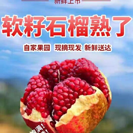 永胜县 云南丽江突尼斯石榴