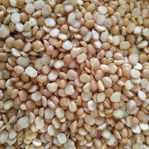 大城县熟 豌豆瓣，老北京豆糕专用材料，月饼馅料
