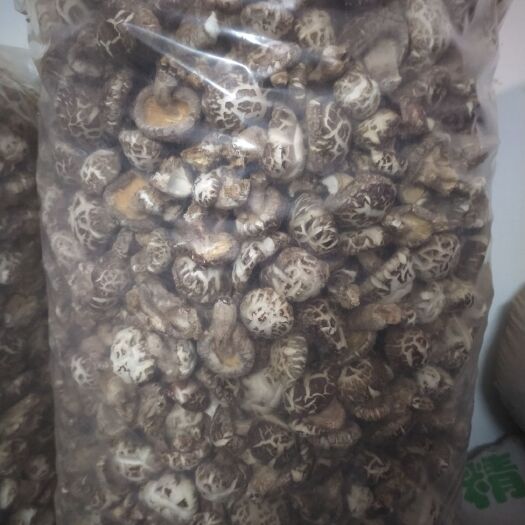 随县 正宗随州香菇自产