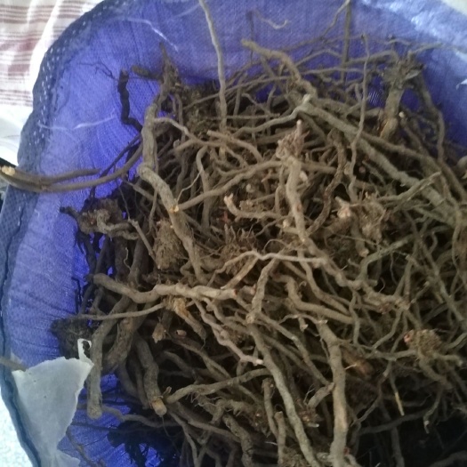 宜阳县茜草