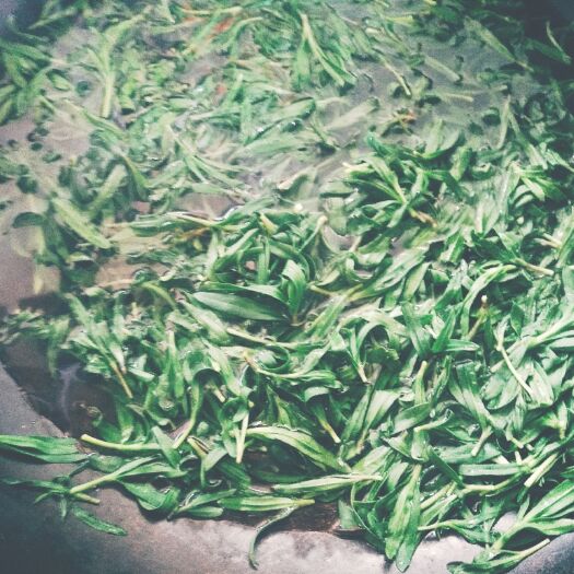 莒南县 清明山野菜