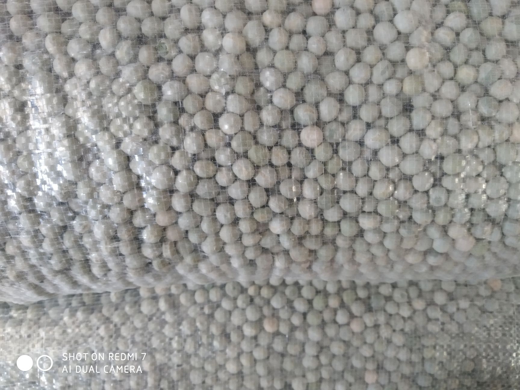 加拿大生綠豌豆，精加工食品級，綠豆餅原料
